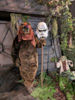 Bild des Charakters Ewok