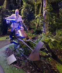 Foto aus dem Album Fans Strike Back