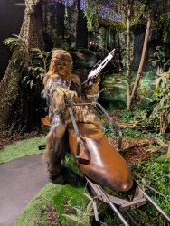 Foto aus dem Album Fans Strike Back