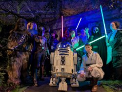 Foto aus dem Album Fans Strike Back